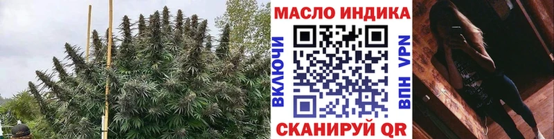 Купить где  Кирс  Дистиллят ТГК концентрат 